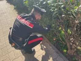 Controlli antidroga dei Carabinieri, arrestate 15 persone nella capitale