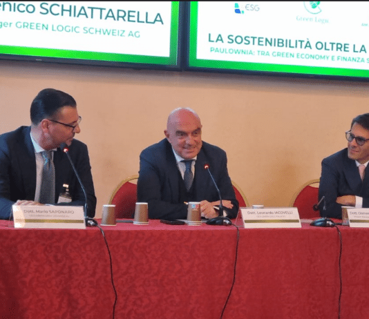 Paulownia: la sostenibilità oltre la teoria