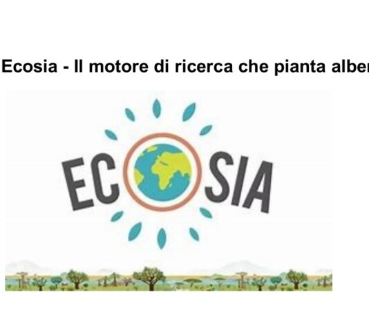 Ecosia il “motore di ricerca per piantare alberi”
