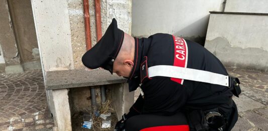 Roma. Al Quarticciolo droga nascosta nelle trappole per topi e nei cassonetti, undici persone arrestate dai carabinieri