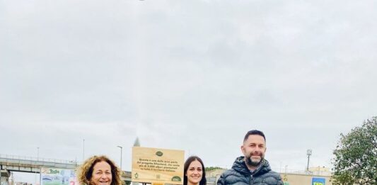 Nuovi alberi nel parcheggio del Centro commerciale Lo Zodiaco