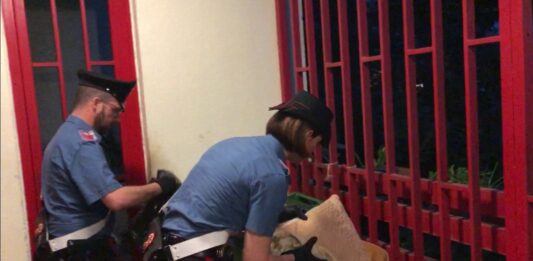 Scoperto cimitero con 25 moto rubate. Denunciate 4 persone a Roma