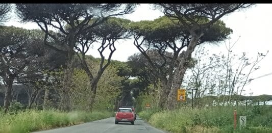 Ardeatina, Tra Lavinio e Lido dei Pini: Buche, dossi e asfalto rotto