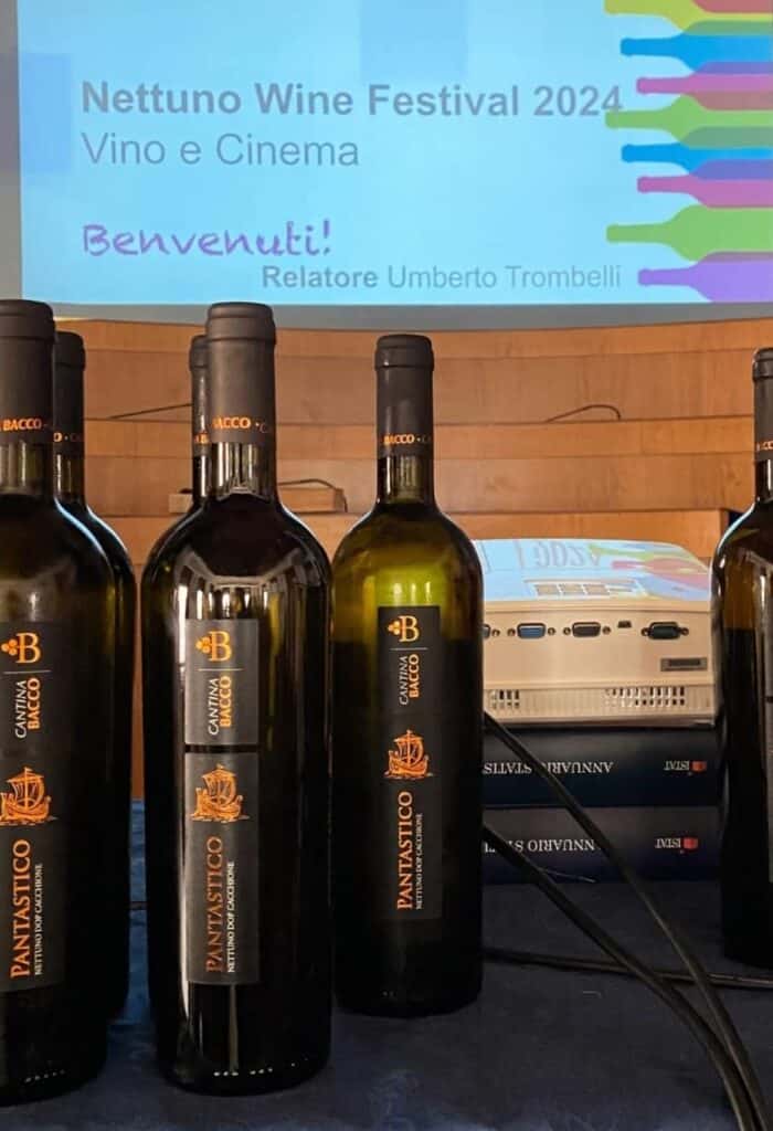 Straordinario successo del Nettuno Wine Festival 2024 10