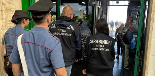 Blitz al mercato Esquilino, sequestrati 11 kg di granchi blu e multe salate
