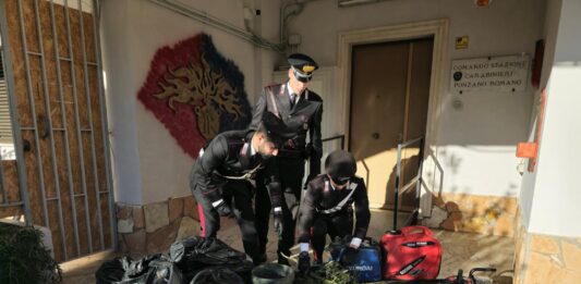 Filacciano, Carabinieri sequestrano 16 kg di marijuana