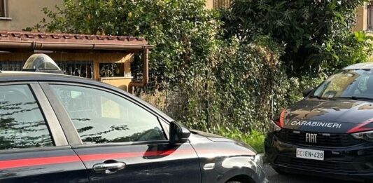 Olevano, arrestato 67enne per detenzione e spaccio di stupefacenti