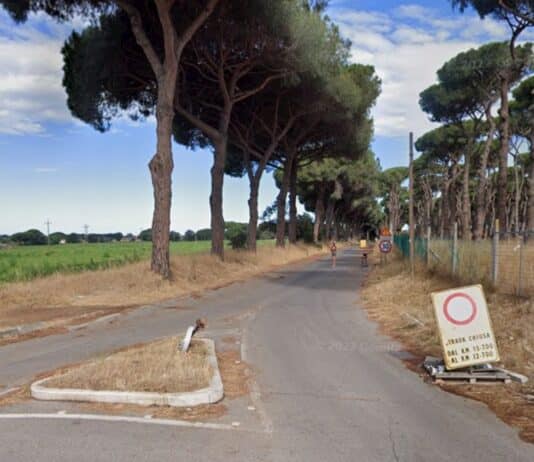 Dal 10 al 14 febbraio chiusa la Padiglione Acciarella nelle ore dei lavori