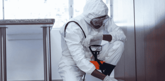 Derattizzazione urgente, domani chiuse 4 sezioni dell’infanzia Andersen a Nettuno