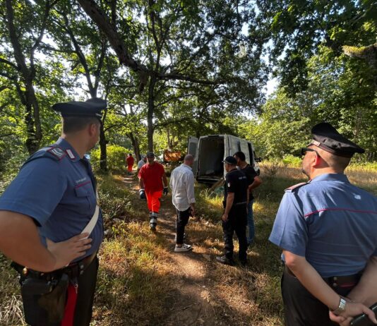 Prostitute e accampamenti, bonificato il bosco di Foglino a Nettuno