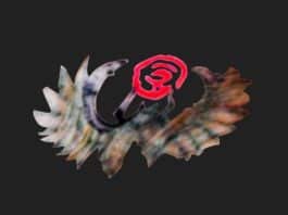 Donna uccisa a villa Panphili, la polizia chiede aiuto e diffonde le foto dei tatuaggi