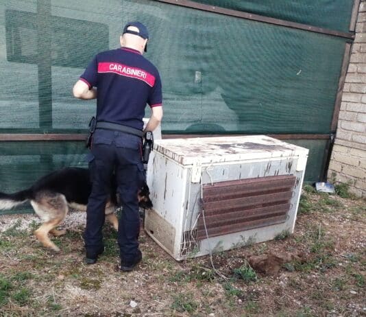 Velletri. Spaccio nel centro storico, operazione antidroga dei Carabinieri: 14 arresti