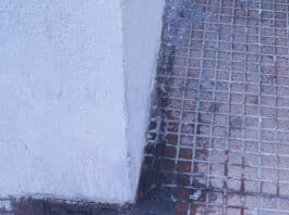 Pipì dei cani per strada è giusto obbligare i padroni a lavare con l’acqua?