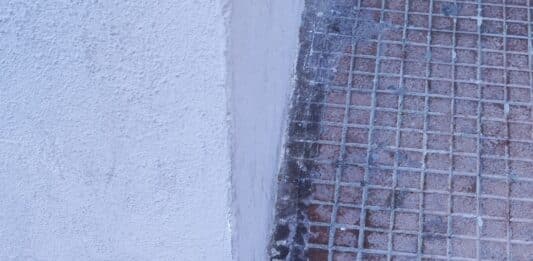 Pipì dei cani per strada è giusto obbligare i padroni a lavare con l’acqua?