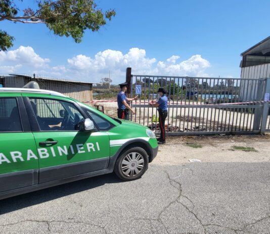 Chiedevano soldi in cambio di un’intermediazione immobiliare, 2 arresti a Ciampino