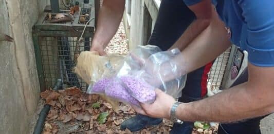 Eur, sequestrate più di mille pasticche di ecstasy destinate alla movida