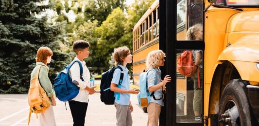 Nettuno, Mense e trasporto scolastico, gli avvisi per le iscrizioni pubblicati sul sito del Comune di Nettuno