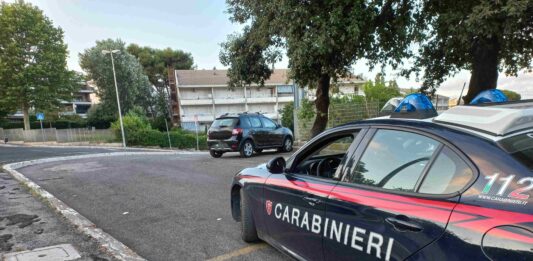 Ardea, maltrattamenti in famiglia e sottrazione di neonato: 23enne arrestato dai Carabinieri