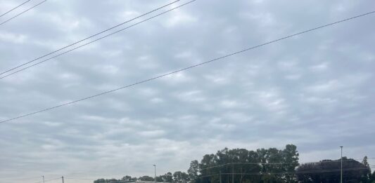 Anzio, Centri raccolta rifiuti, informazione di servizio