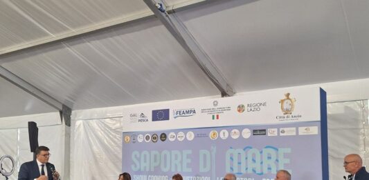 Roma. 14enne alla guida di auto a noleggio rubata, non si ferma all’alt e provoca incidente