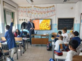 Mense scolastiche, al via i progetti di educazione alimentare. Alla scoperta dei legumi