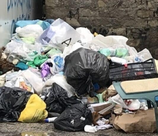 Pomezia, il Comune ripulisce via della Motomeccanica