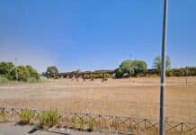 Aggredita e violentata davanti al fidanzato in un parco alla periferia di Roma