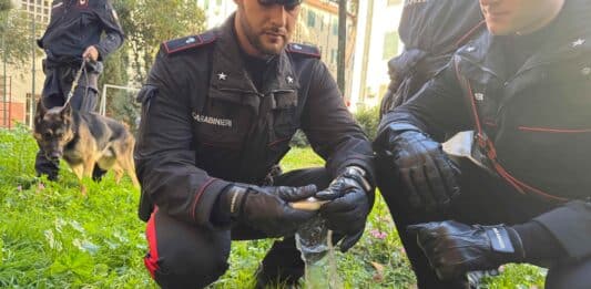 Arresti per droga in diversi quartieri della Capitale
