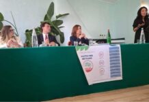 Al Patto per Nettuno non bastano i chiarimenti sulle luminarie