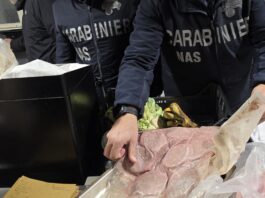 Controlli straordinari dei Carabinieri a Colleferro e Valmontone: 2 denunce, 3 segnalazioni per droga e sanzioni amministrative per locali