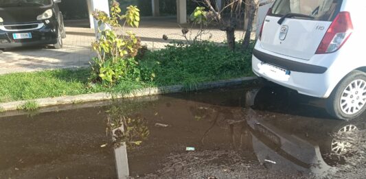 Nettuno, Perdita d’acqua in via Pocacqua 4: un problema ignorato da mesi da Acqualatina