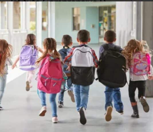 Roma, finta baby sitter tenta di rapire bimba a scuola, è successo in due istituti