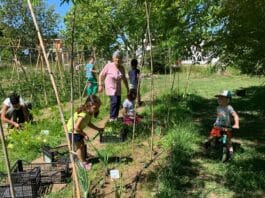 Comunità in Cantiere verso la conclusione: tre anni di lavoro per rafforzare la comunità educante tra Anzio e Nettuno