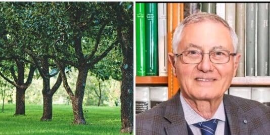 Nettuno. Il Consiglio Comunale approva all’unanimità la mozione per “una città più verde”