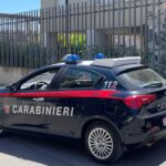 In Libera Uscita 6