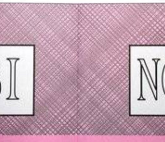 Referendum Costituzionale: il Gruppo M5S di Anzio schierato per il No