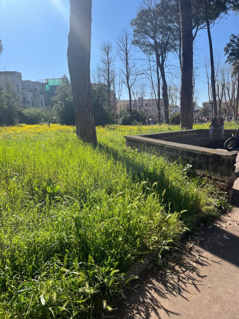 Erba alta e sporcizia al parco Palatucci, il brutto biglietto da visita di Nettuno 6