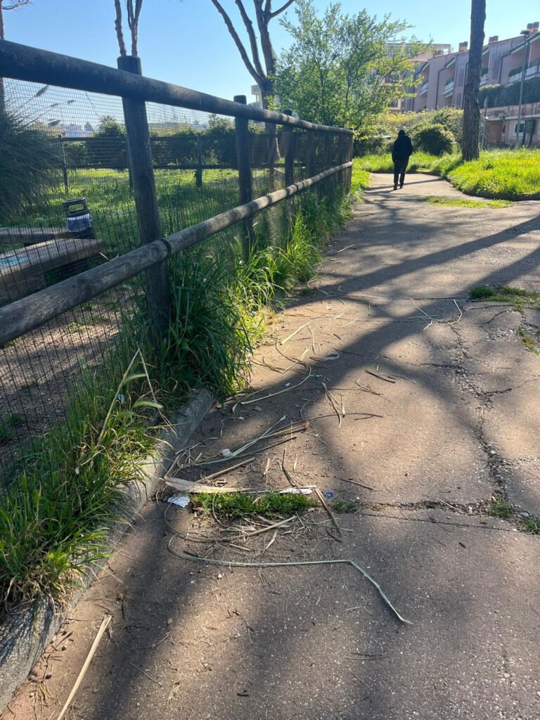 Erba alta e sporcizia al parco Palatucci, il brutto biglietto da visita di Nettuno 5