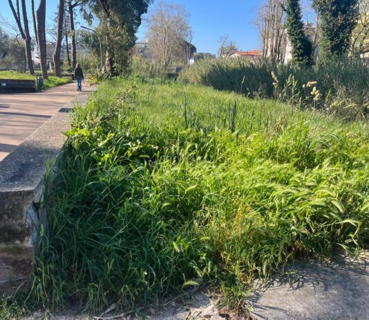 Erba alta e sporcizia al parco Palatucci, il brutto biglietto da visita di Nettuno