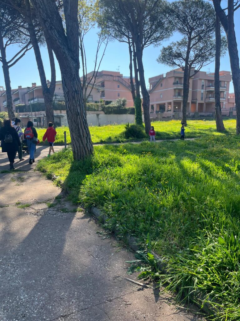 Erba alta e sporcizia al parco Palatucci, il brutto biglietto da visita di Nettuno 8