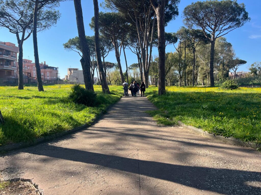 Erba alta e sporcizia al parco Palatucci, il brutto biglietto da visita di Nettuno 1