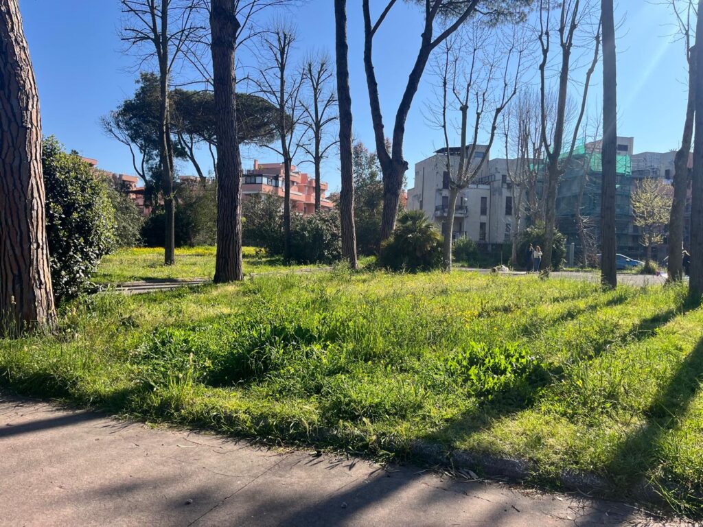 Erba alta e sporcizia al parco Palatucci, il brutto biglietto da visita di Nettuno 7