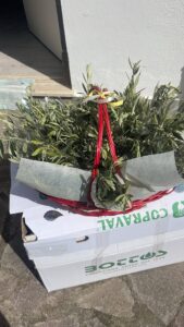 'Un Angelo per Amico': una domenica delle Palme speciale a Casa Ronald di Palidoro 1 'Un Angelo per Amico': una domenica delle Palme speciale a Casa Ronald di Palidoro 1