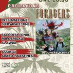 In Libera Uscita 6
