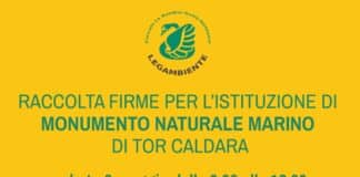 In Libera Uscita 29
