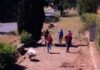 Nettuno, i volontari bonificano l’antica strada romana In Libera Uscita 19