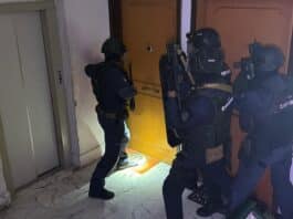Colpo dei Carabinieri e DDA alla criminalità organizzata : 7 arresti per traffico di droga, estorsione, armi e sfruttamento della prostituzione