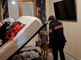 Mafie, 19 arresti nell’inchiesta della DDA di Roma: il gruppo avrebbe gestito traffici di cocaina, hashish e marijuana
