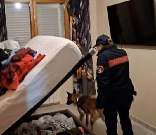 Mafie, 19 arresti nell’inchiesta della DDA di Roma: il gruppo avrebbe gestito traffici di cocaina, hashish e marijuana