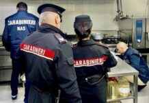 Ariccia e Genzano controlli dei Carabinieri: un arresto per spaccio, sequestri e sanzioni ad attività commerciali